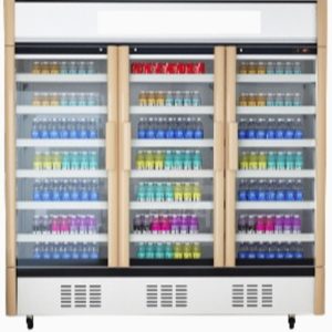 DISPLAY CHILLER ( THREE DOOR )