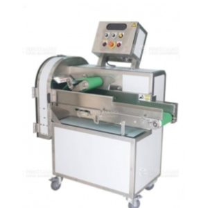 FRUIT AND VEGETABLE SLICING AND SHREDDING MACHINE