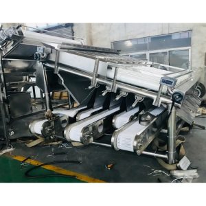 SHRIMP SELECTION MACHINE IA-600W/FLJ